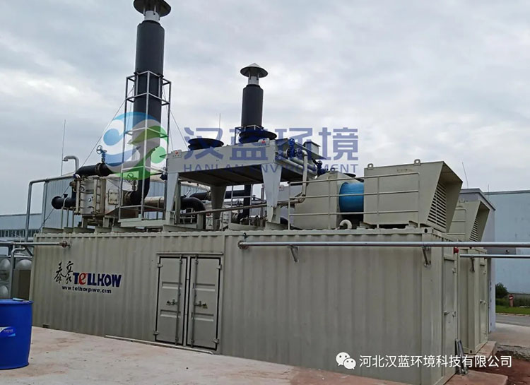 漢藍環境助力“井研大沼項目”脫硝設備順利驗收! 漢藍環境助力“井研大沼項目”脫硝設備順利驗收!