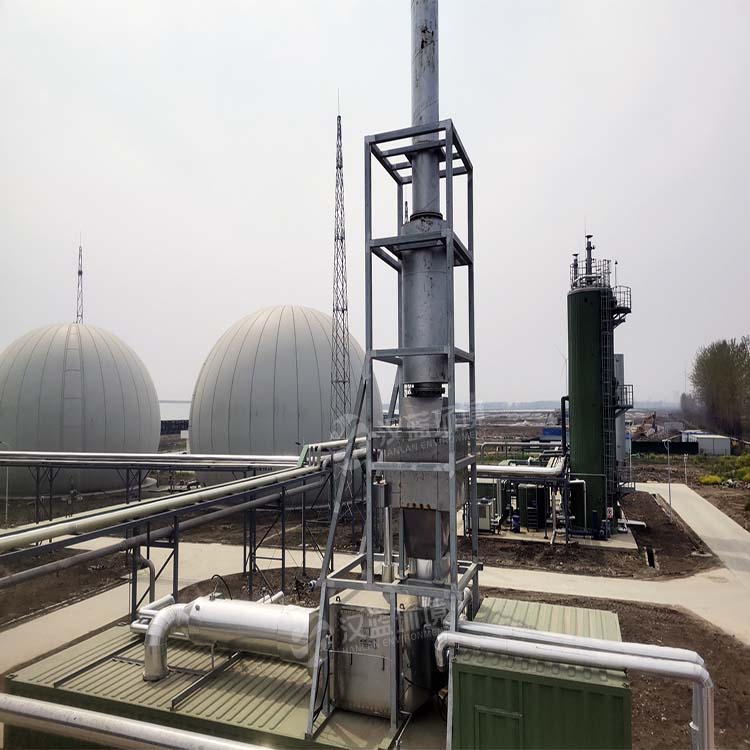 河南某沼氣項目生物質(zhì)沼氣發(fā)電機組脫硝系統(tǒng) 河南某沼氣項目生物質(zhì)沼氣發(fā)電機組脫硝系統(tǒng)